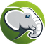 elephant avatar